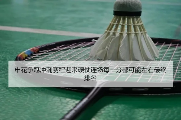 申花争冠冲刺赛程迎来硬仗连场每一分都可能左右最终排名
